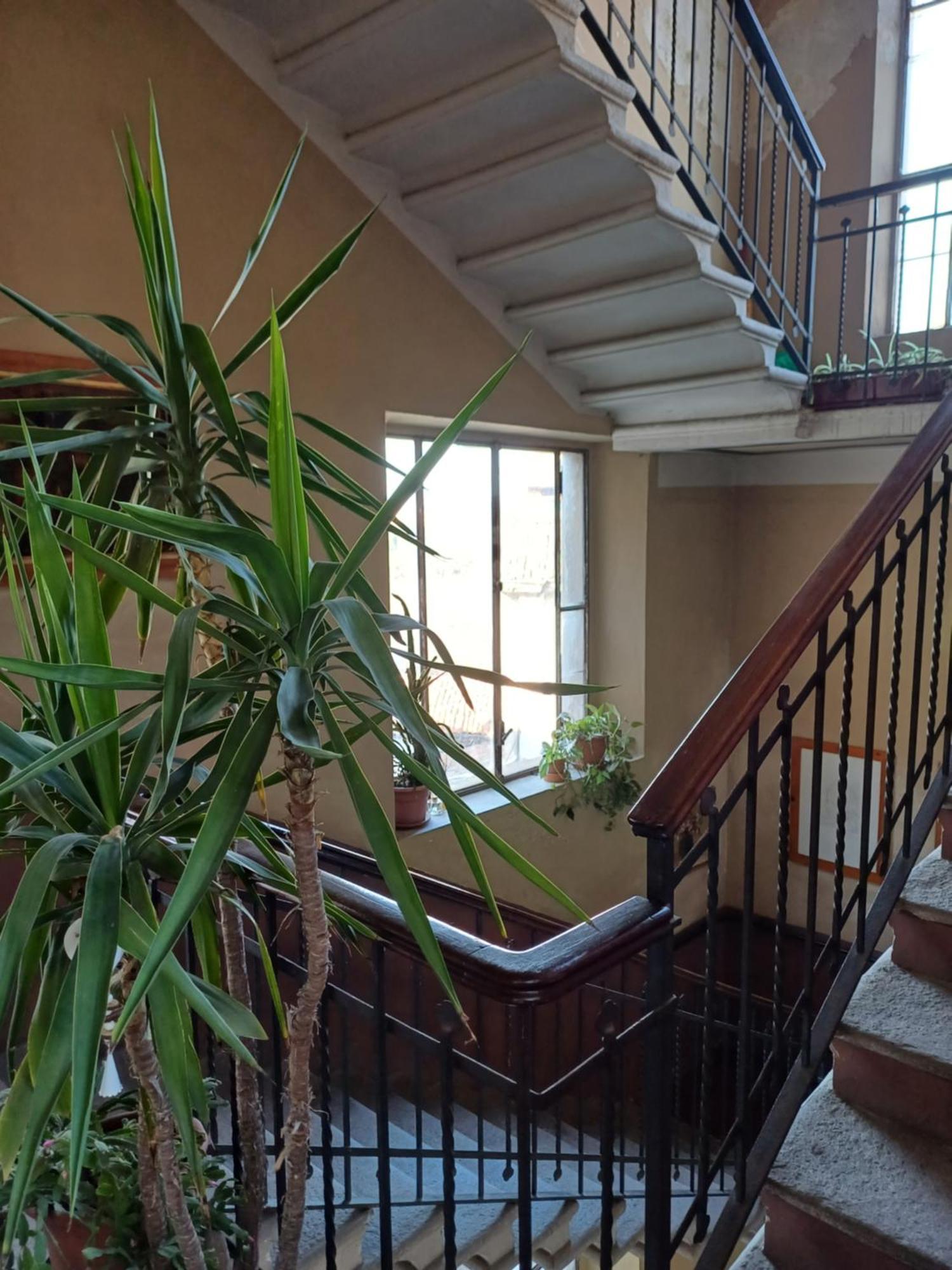 Casa Clara Apartment Cremona Bagian luar foto