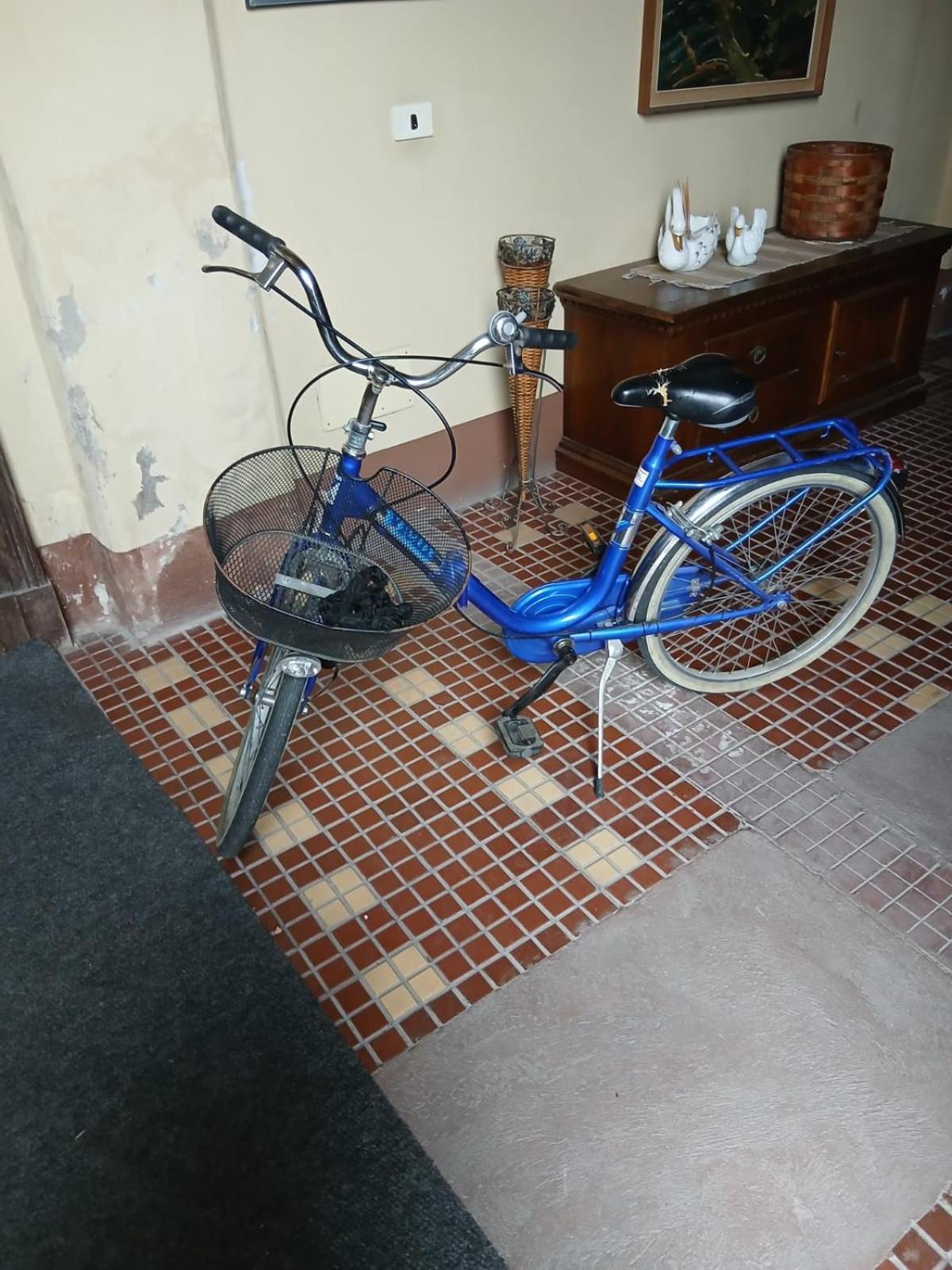 Casa Clara Apartment Cremona Bagian luar foto